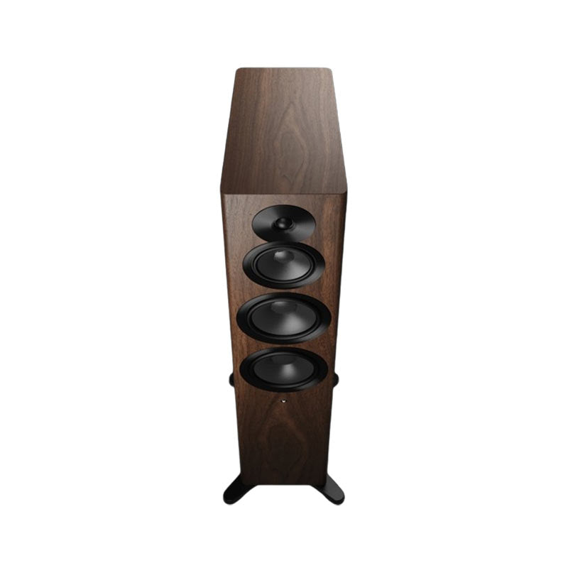 Focus 50 - Floostand Speaker